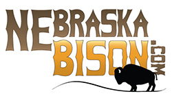 nebraska bison logo