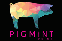 pigmint print logo