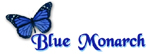 blue monarch logo