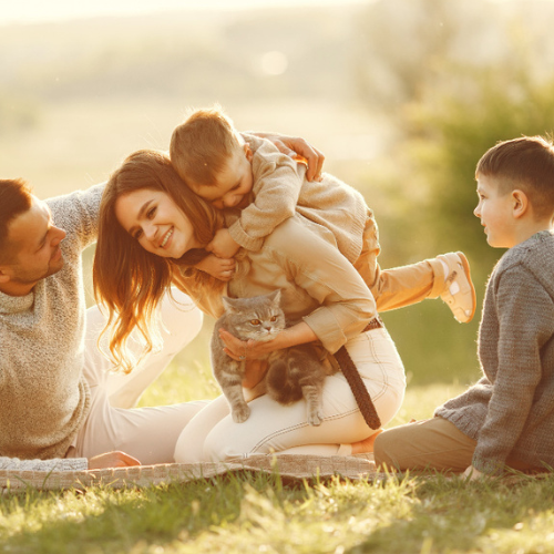 Family