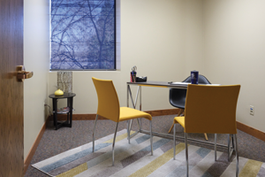 Focus Suites
